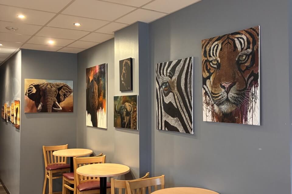 Photograph of part of the Cry for Survival exhibition in Chapters Cafe